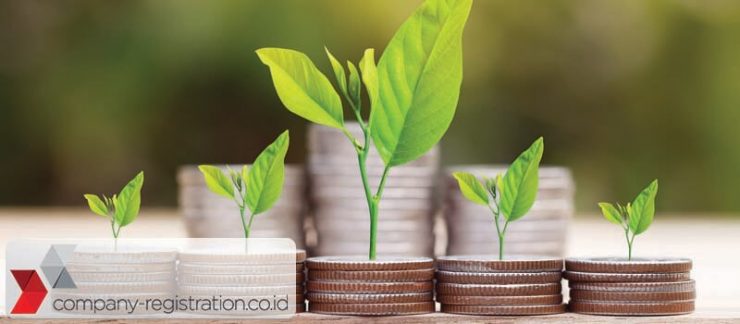 How to Invest in Indonesia