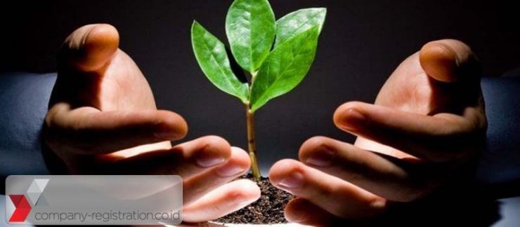 Types, Purposes, Benefits, and Procedure to Invest in Indonesia